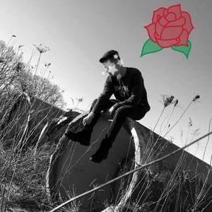 Meet your Posher, Cole